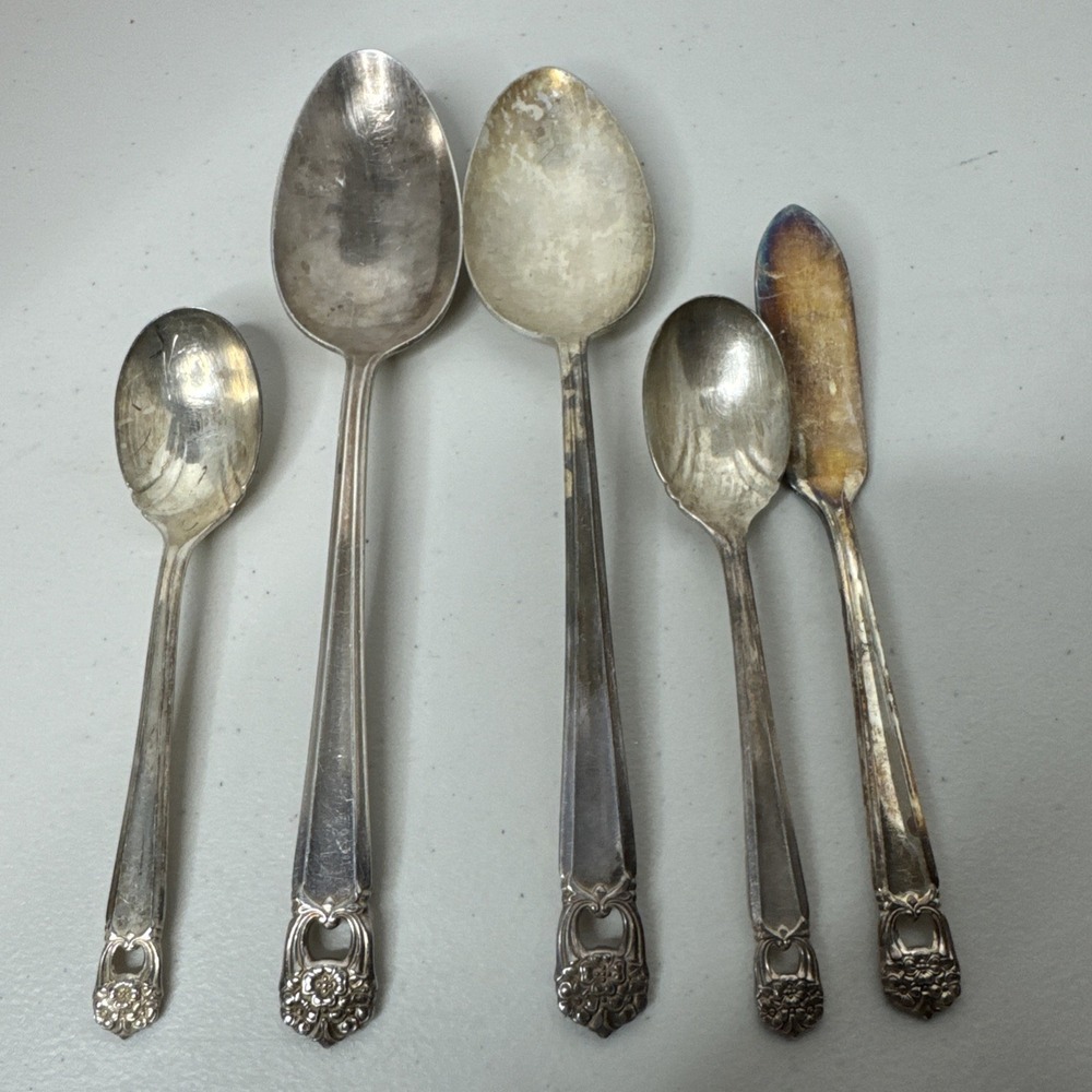 ETERNALLY YOURS  BY 1847 ROGERS Bros Silver plate Serving Set 5 Pieces